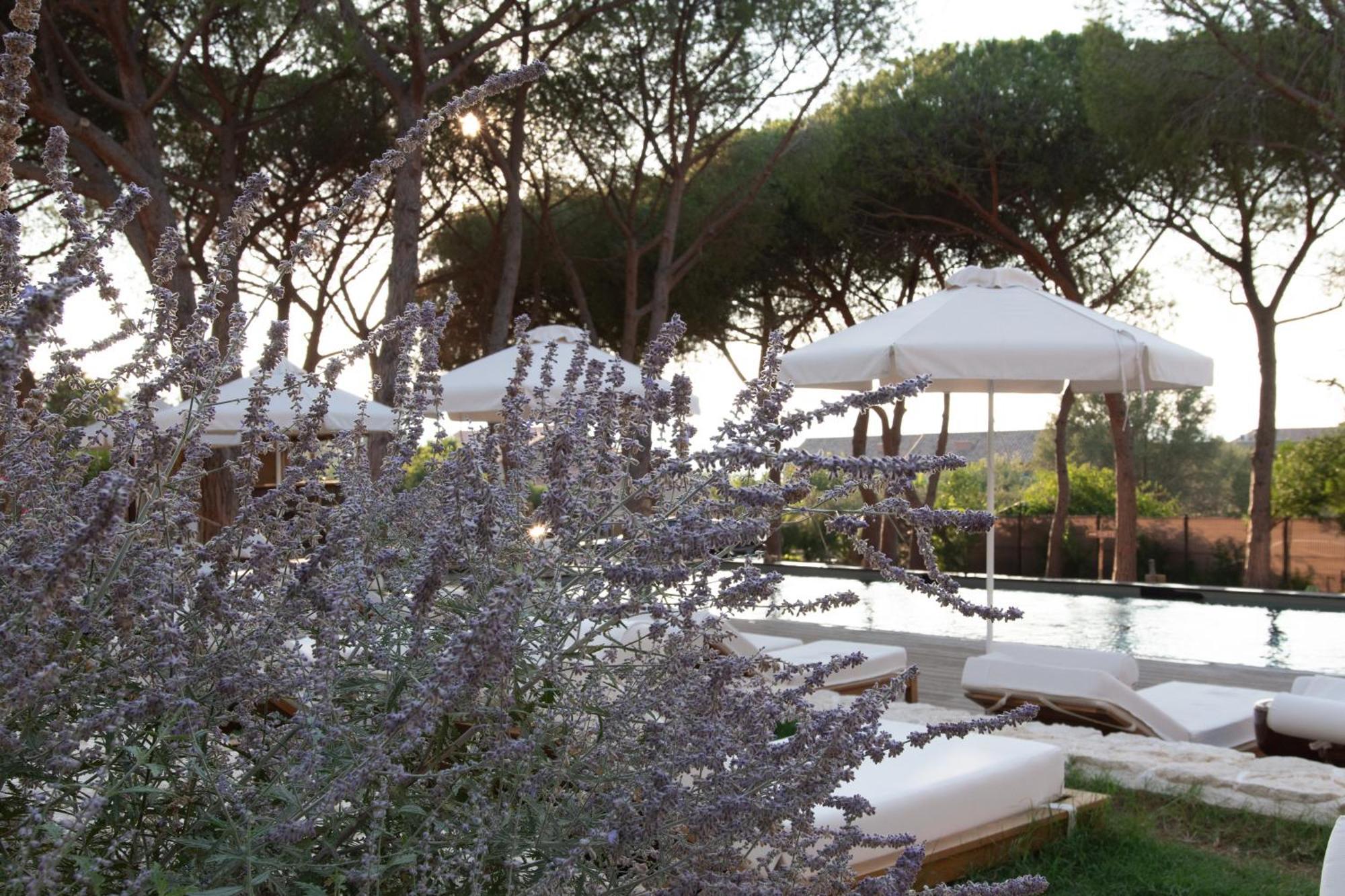 Boutique Hotel Responsable Et Restaurant Basgi Basgi Saint-Florent  Buitenkant foto